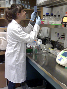 photo of PhD student Sima Jonusaite working in a biology lab