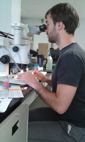 photo of PhD student Thomas van Zuiden examining slides through a microscope